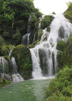 小汪汪